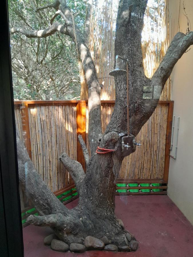 Kosi Bay Casitas Vila Manguzi Exterior foto